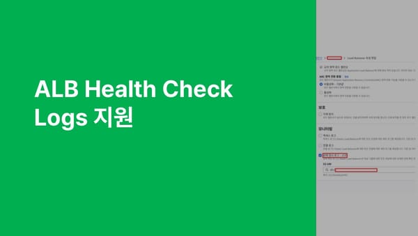 ALB Health Check Logs 지원